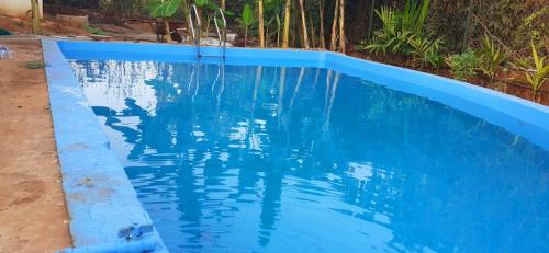 a swimming pool with blue water in a yard at Ecoark Farmstay in Cuncolim