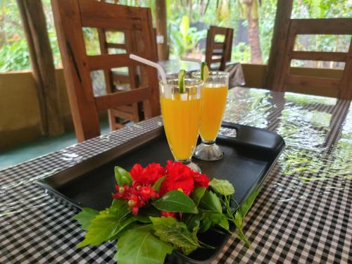 Nápoje v ubytování Sigiriya White Moon Resort