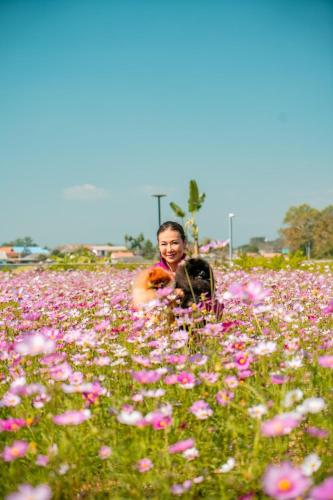 Clients de l'établissement The Pet Friendly Hotel BaanMax Boutique Pet Resort and Lodge, Chiangrai