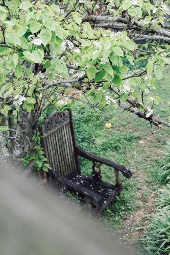 a black park bench sitting under a tree at La Beauté Bắc Hà in Bắc Hà