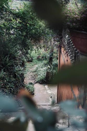 a garden path with a wooden fence and grass at La Beauté Bắc Hà in Bắc Hà