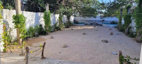 a group of birds sitting in a courtyard at Pakáal Muliix - Limóm in Mérida