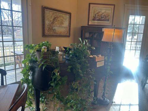 a room with a bunch of potted plants on the wall at The Currier Inn in Greeley
