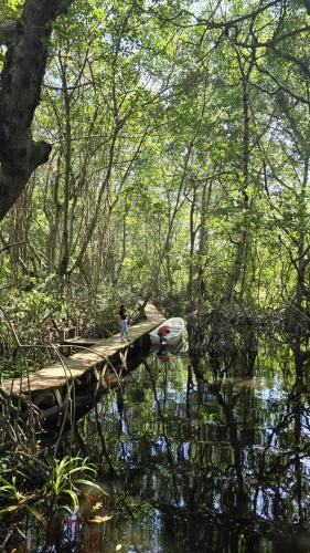 Un paisaje natural cerca de la villa