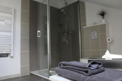 Phòng tắm tại Domaine de Treuillaud