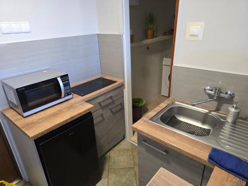 a small kitchen with a sink and a microwave at Apartament Słoneczny in Świnoujście