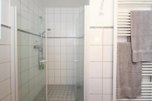 a bathroom with a shower with a glass door at Ferienwohnungen Grafenfelder Hof in Gerolstein
