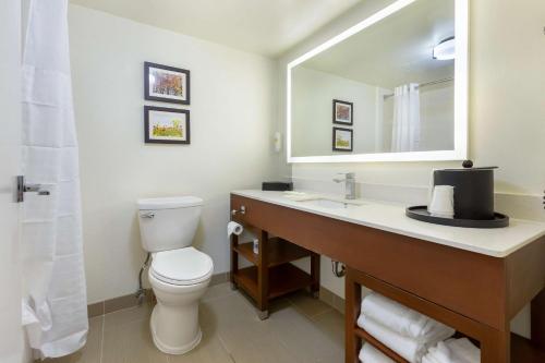 a bathroom with a toilet and a sink with a mirror at Comfort Suites Hanes Mall in Winston-Salem