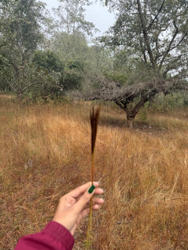a persons hand holding a stick in a field at Cheetah Farms Jungle Stay in Dandeli