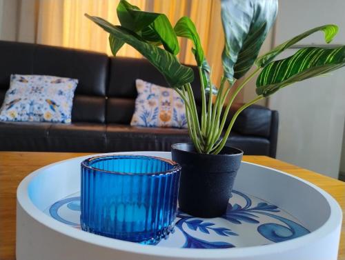 una mesa con dos anteojos azules y una planta en ella en Corella Accommodation 1D, en Boulder