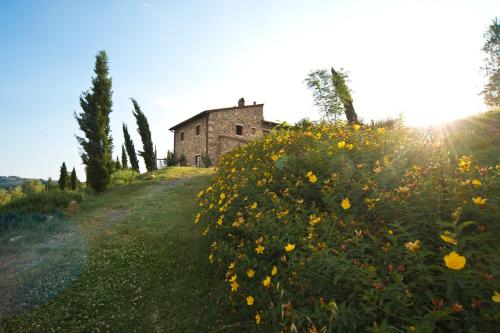 an old house on a hill with a field of flowers at Agriturismo Podere Campaini in Volterra