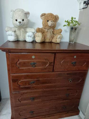 two teddy bears sitting on top of a dresser at Bdr Bukit Tinggi Klang Tropicana Garden Homestay in Klang