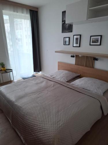 a bedroom with a large bed and a window at Santova Apartments Olomouc in Olomouc