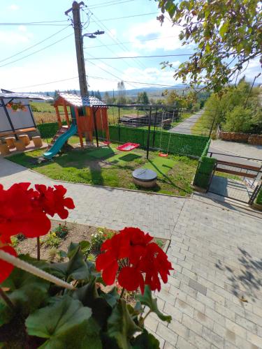 a group of red flowers in front of a playground at Casa MATEO in Topliţa