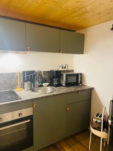 une cuisine avec un évier et un micro-ondes dans l'établissement Le Cocon Lyonnais, à Lyon