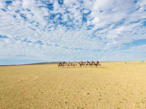 a group of people riding horses in the desert at Eternal Sky Tour & Guest house in Ulaanbaatar