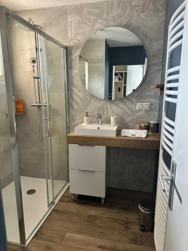 une salle de bain avec un lavabo et une douche avec un miroir dans l'établissement L Elegant Cozy Plein Centre, à Saint-Avertin