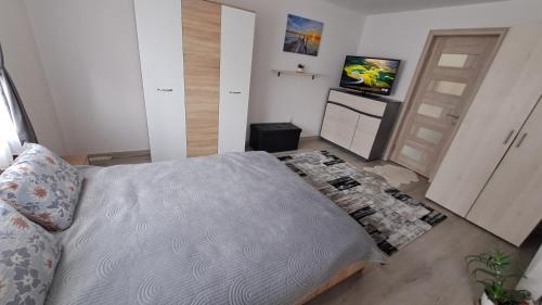 TV a/nebo společenská místnost v ubytování Casa Bianchi Vatra Dornei
