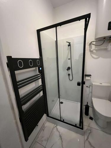 La salle de bains est pourvue d'une douche en verre et de toilettes. dans l'établissement L'escapade amienoise, à Amiens