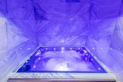 a purple tub with a dog in it at Hotel House in Rishon LeẔiyyon