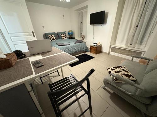 Appartement- Studio avec terrasse