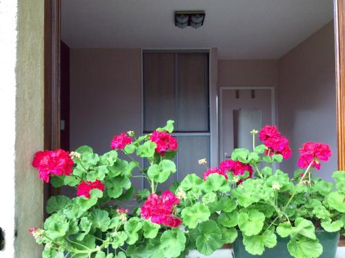 Chambres tout confort du Tilleul