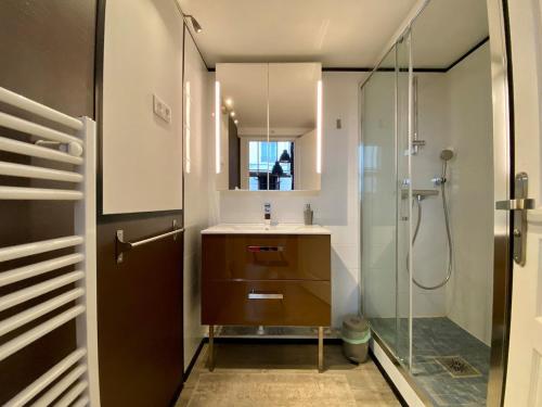 une salle de bain avec un lavabo et une douche en verre dans l'établissement LE LOFT des Charmettes, à Lyon