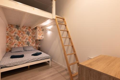 a bedroom with a bunk bed and a ladder at Le Reflet des Pyrénées in Bagnères-de-Bigorre