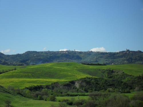 a green hill with trees in the distance at Agriturismo Podere Campaini in Volterra
