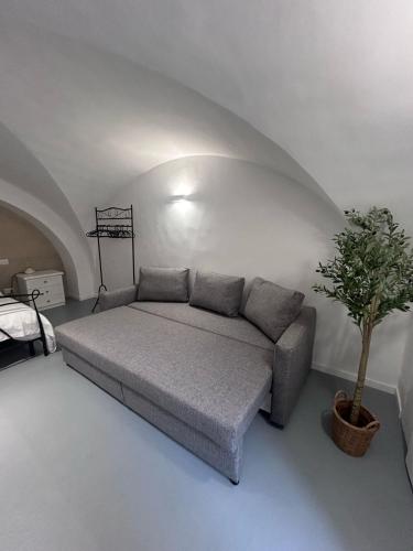 White Dome Retriet photo 14