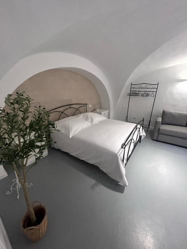 White Dome Retriet photo 10