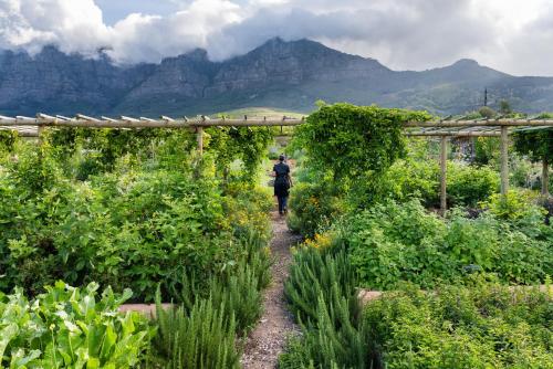 a person walking down a path through a garden at Angala in Simondium