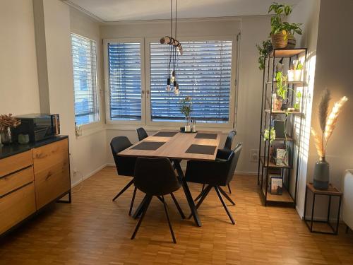 Ferienwohnung nahe des Rheins in Basel