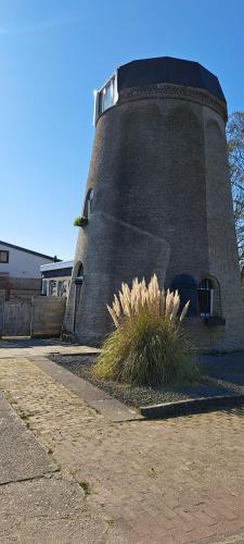 a building with a plant in front of it at De goede verwachting in Kamperland