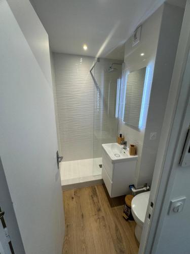 une salle de bain avec une douche, un lavabo et des toilettes dans l'établissement Annecy centre et lac, à Annecy