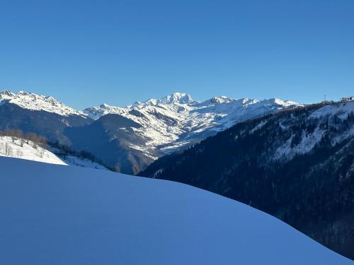 Les racines et les cimes