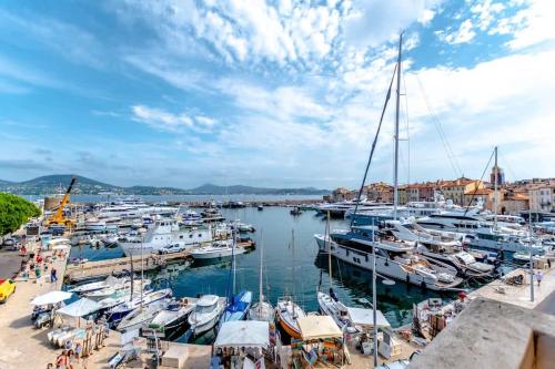 un groupe de bateaux amarrés dans un port dans l'établissement Loft Allard l Harbour Views l Shellter Rentals, à Saint-Tropez