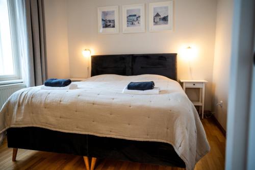 a bedroom with a large bed with two blue pillows on it at Chateau Děčín in Děčín