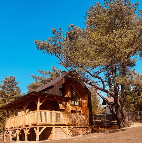 a cabin in the woods with a tree at Cztery Pory Roku Swornegacie in Swornegacie 
