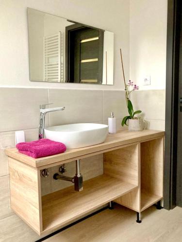 a bathroom with a sink and a mirror at Olivia Relax & Adventure in Hliník nad Hronom