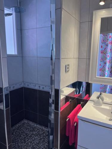 a bathroom with a shower and a sink at Absolu chic naturiste in Cap d'Agde