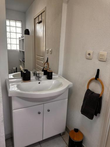 a bathroom with a white sink and a mirror at Les Jardins de Rastel Studio in Lyon