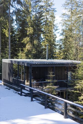a cabin in the woods in the snow at Moho Будинки для відпочинку in Bukovel