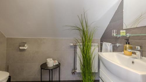 Vannituba majutusasutuses Sun Villas Accommodation Brasov