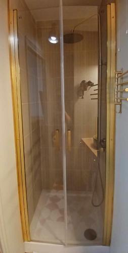 une douche avec une porte vitrée dans une salle de bain dans l'établissement Studio Montparnasse, à Paris
