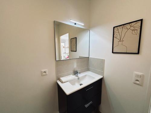 a bathroom with a sink and a mirror at Bleuets studio cosy neuf terrasse proche centre in Reims