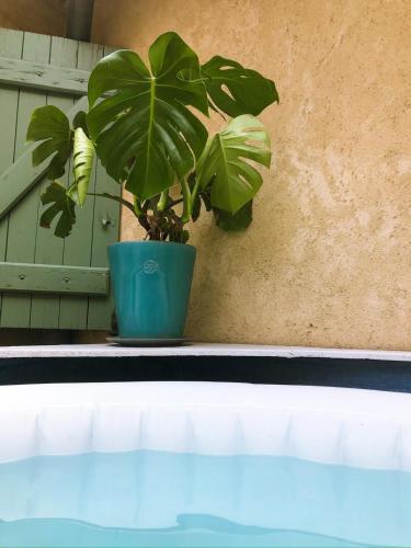 une plante dans un pot bleu à côté d'un mur dans l'établissement Maison de centre ville avec jacuzzi, à Nîmes