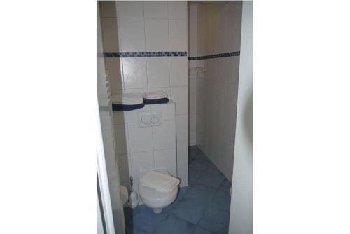 a bathroom with a toilet and a shower at Seerose in Wittdün