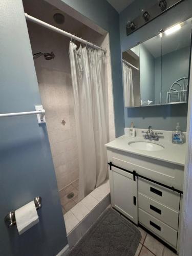 Bilik mandi di Max NY VIEW 5 Apartment Combo Sleeps 60 15 Mins to NYC