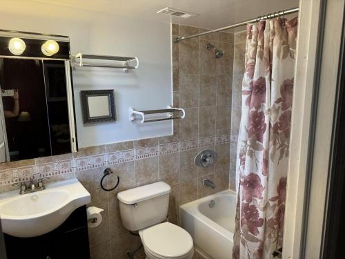 a bathroom with a toilet and a sink and a mirror at Ultra Spacious Penthouse - Apt 2 - 3 Combo -15 Mins from NYC in Union City